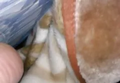 Holly sex filmiki z grobach 0 biodra